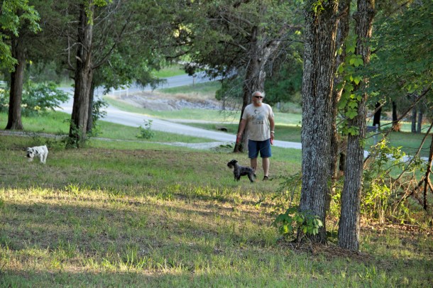 Our dogs check out their new home for the first time.