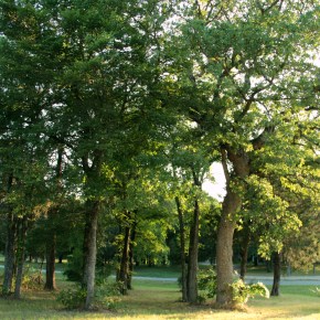 Champagne Taste on a Beer&nbsp;Budget