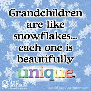 ea477148b60cf7c2510b9a31982ceed9_snowflakes-unique-fb-quote_300x300_gallery