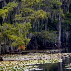 Linda James Photography