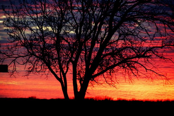 IMG_1456_Fotor_Fotor