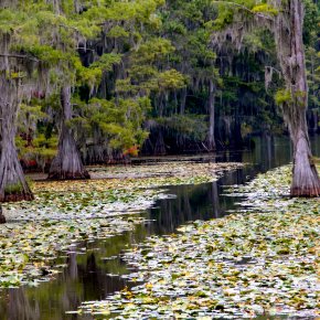 At the Lake&nbsp;Gallery