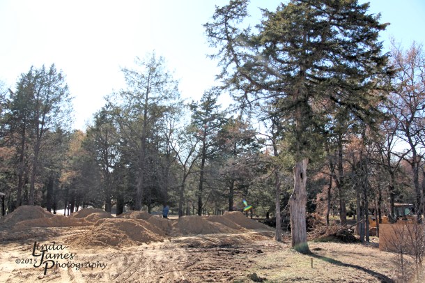 IMG_9553_Fotorc_edited-1c