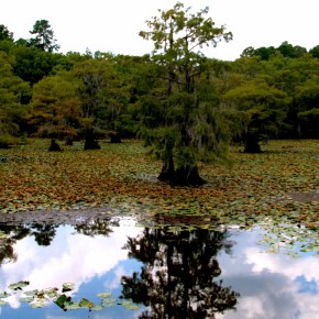 Lake Reflection