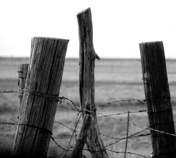 Old fences GB RDR