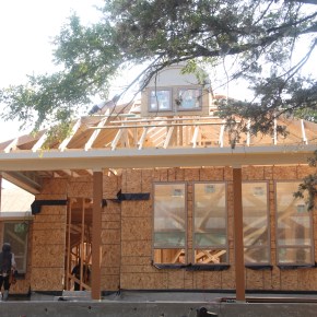 Survival (Part 1) — Building Our Forever&nbsp;Home