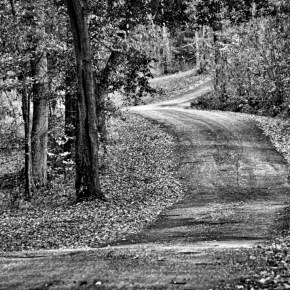 Just Around the&nbsp;Bend