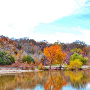 Fall Reflections on Lake Ray&nbsp;Roberts