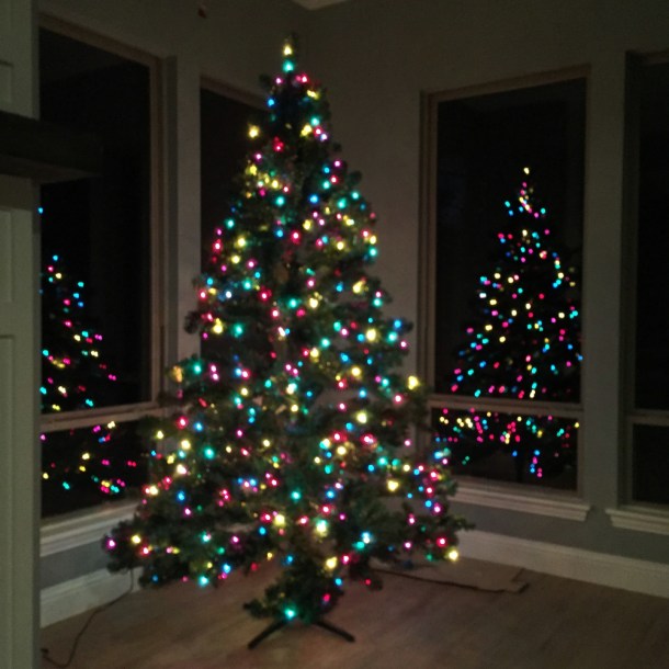 tree2_www.rainydayreflections.com