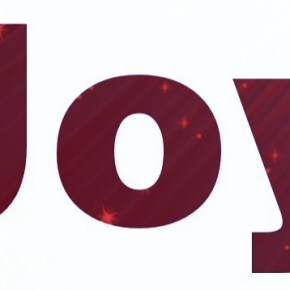 Finding Joy Everyday