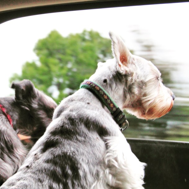 Windy_Ride_www.rainydayreflections.com