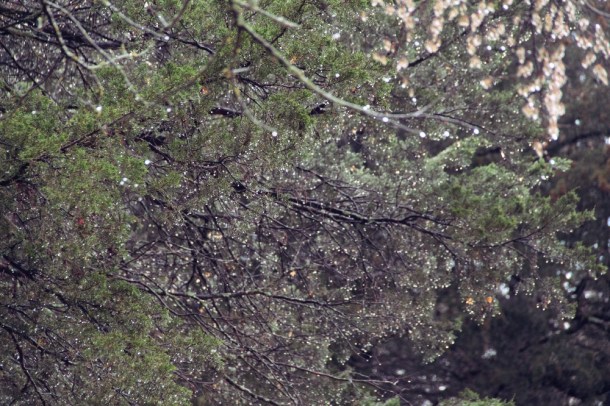 AfterTheStorm_www.rainydayreflections.com_