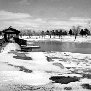 Almost Frozen (B & W) – Monochrome Madness&nbsp;Challenge