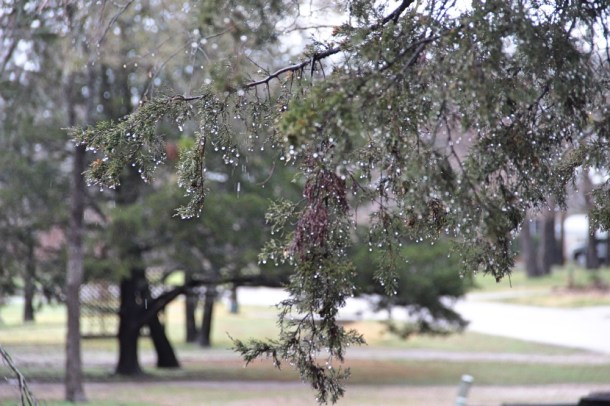 Glimmering_raindrops_www.rainydropreflections.com_