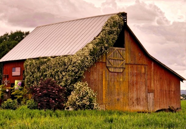 LindaJames_OnePhotoFocus_April__