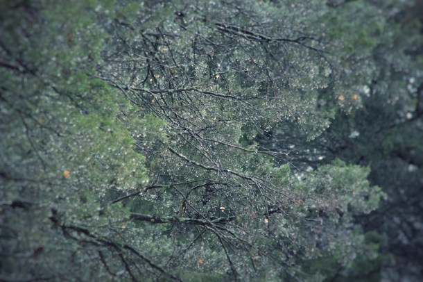 Rainyday_www.rainydayreflections.com_