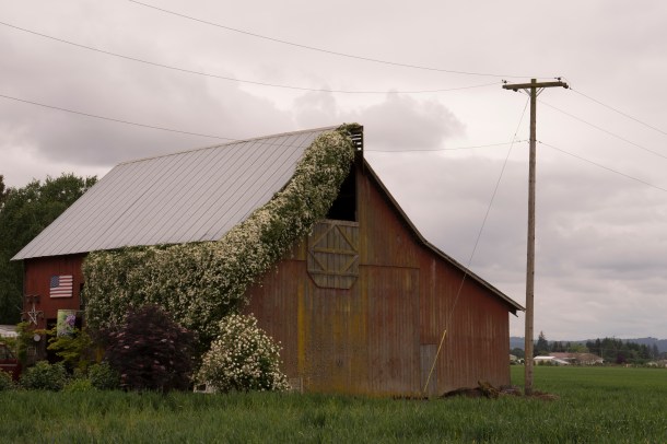 April 2016 One Photo Focus