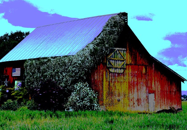 LindaJames_ One Photo Focus_April_Version2