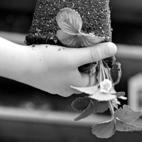 Planting – Monochrome Madness&nbsp;Challenge