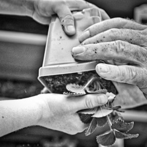 Together – Monochrome Madness&nbsp;Challenge