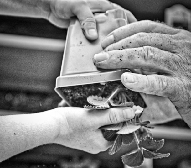 Together_www.rainydayreflections.com___