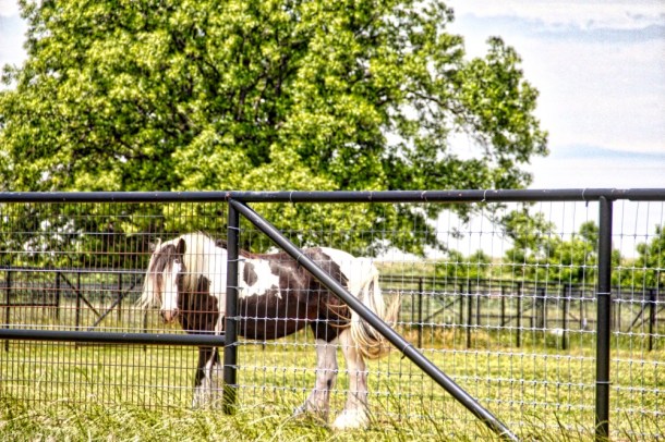 JustWhatDoYouWant_www.rainydayreflections.com