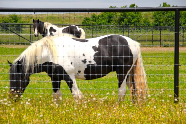 OverHere_www.rainydayreflections.com