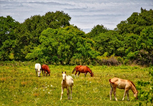 Watching_www.rainydayreflectionscom