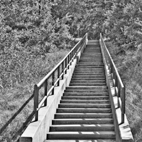 Stairs To Where? — Monochrome Madness&nbsp;Challenge