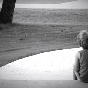 Watching – Monochrome Madness&nbsp;Challenge