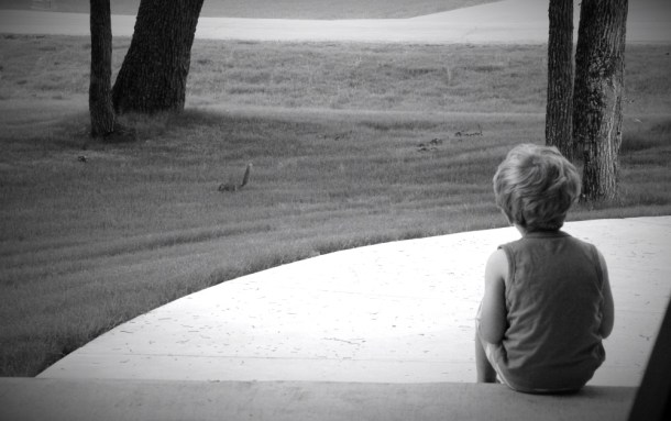 watching_www.rainydayreflections.com