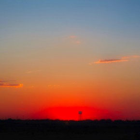 Nature’s Spotlight