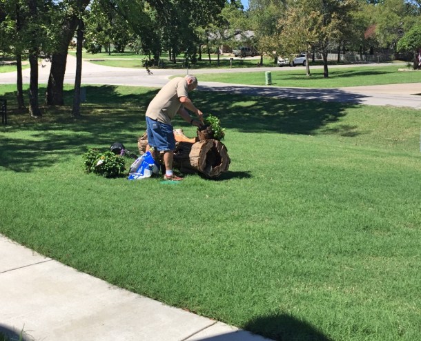 thelog3_rainydayreflections