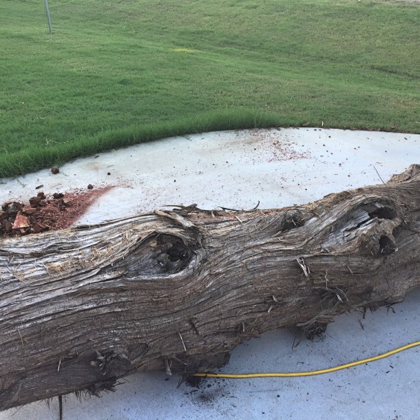 thelog_rainydayreflections