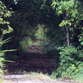 Road – My Take on a&nbsp;Theme