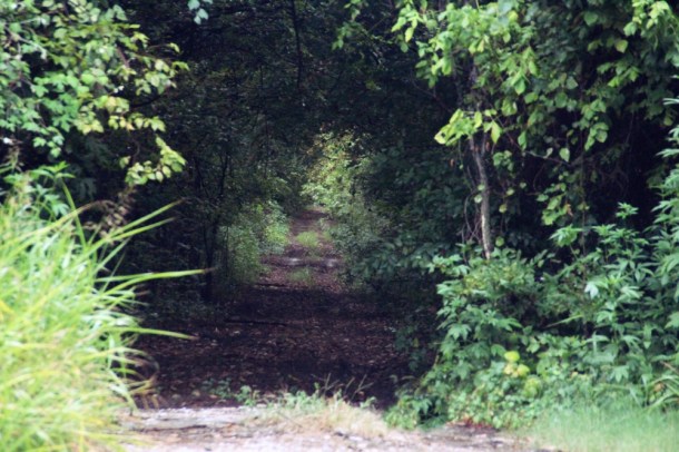 YouGoFirst____rainydayreflections__