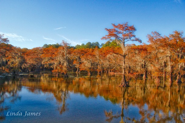 caddointhefall-_lindajamesphotography