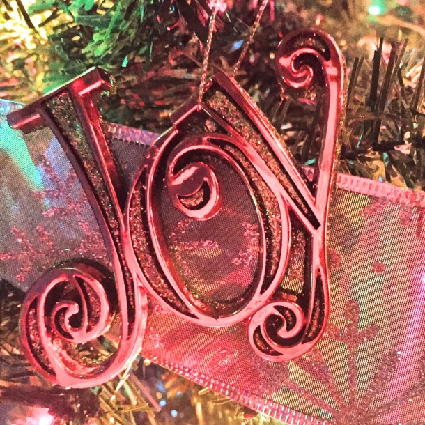 joy2016_lindajamesphotography