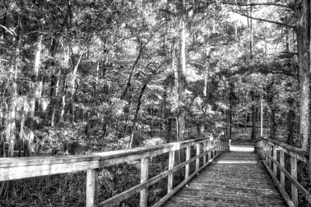 bridgetothewoods_lindajamesphotography__