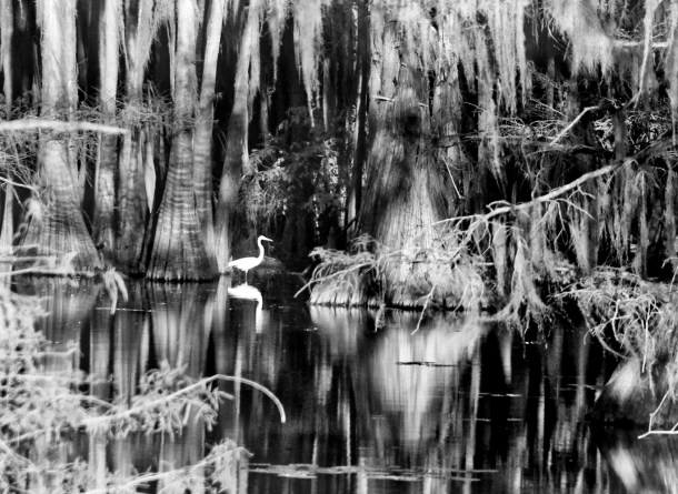 greategretreflection_lindajamesphotography