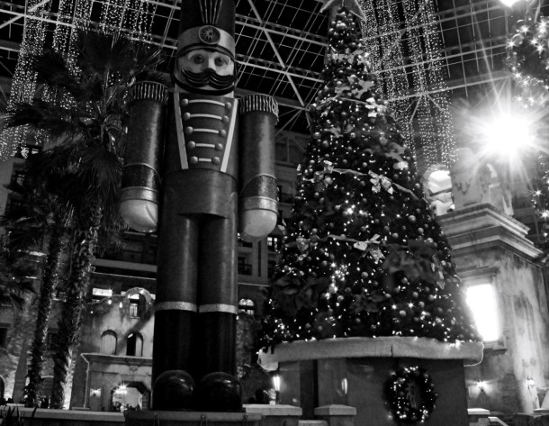 gtnutcrackertree_lindajamesphotography_bw