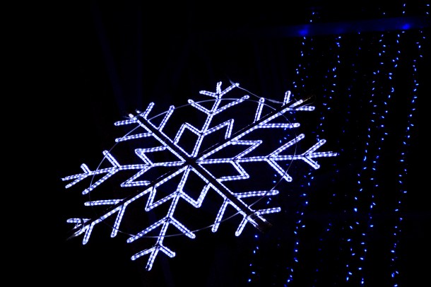 gtsnowflake__lindajamesphotography