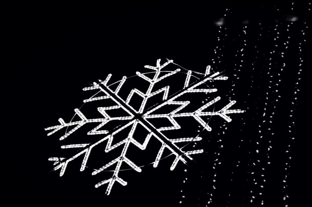 gtsnowflake__lindajamesphotography_bw