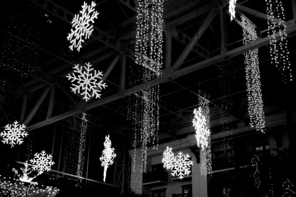 gtsnowflakesbw_lindajamesphotography_