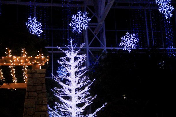 gtwhitetree_lindajamesphotography