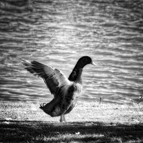 Fun In The Sun – Monochrome Madness&nbsp;Challenge