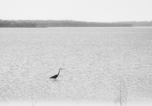 dinnertime_lindajamesphotography_