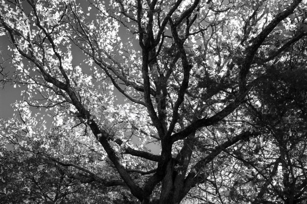 lookup_rainydayreflections-com