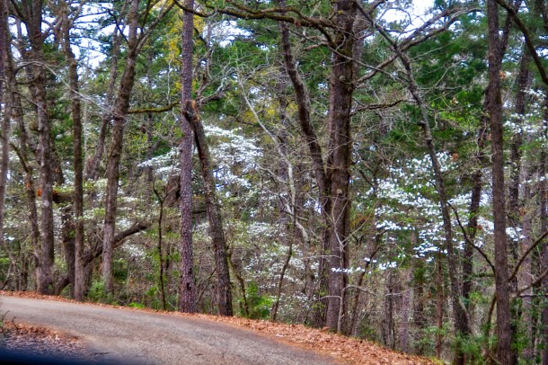 AlongTheRoad_LindaJamesPhotography