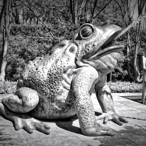 Frog Fountain – Dallas&nbsp;Arboretum
